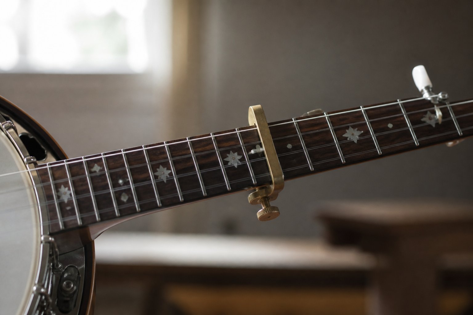A screw type capo clamped just behind the second fret of a banjo neck, with the short fifth string running past it
