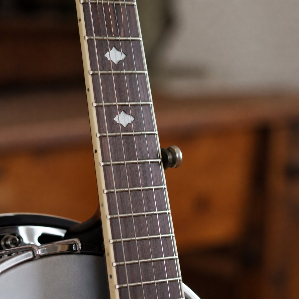 Close view of a five string banjo neck showing the fifth string peg mounted in the side of the neck at the fifth fret